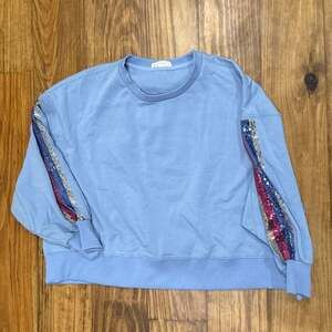 Mary Square Blue Sequin Stripe Dolman Sleeve Pullover Top